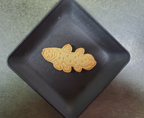 クッキー型　シーラカンス 1枚目の画像