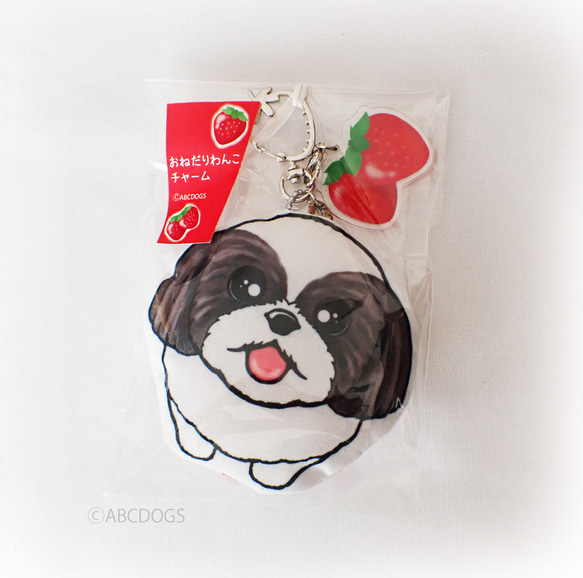 Strawberry Charm Shih Tzu 灰色 白色 第2張的照片