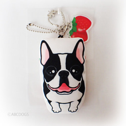 Strawberry Charm Boston Terrier 黑色和白色 第1張的照片