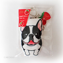 Strawberry Charm Boston Terrier 黑色和白色 第3張的照片