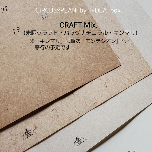 カレンダー CiRCUSxPLAN ルーズリーフ リフィル A5 B5 好きな月