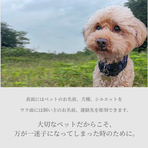 ネームプレート 犬 迷子札 ボーン 骨型プレート 首輪 ネームタグ キーホルダー 犬用 猫 小型犬 中型犬 大型犬 軽量 2枚目の画像