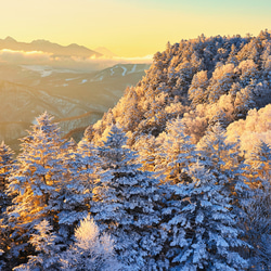 山岳風景写真 〜厳冬の目覚め〜 （樹氷･森林･美ヶ原･雪山･冬山･八ヶ岳･登山／送料無料） 7枚目の画像