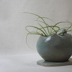 青ネコちゃん陶製植木鉢(雲皿付き) 10枚目の画像