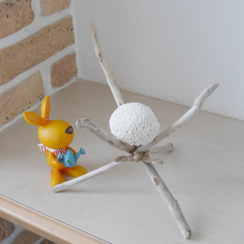 激美！! 宮古島産 天然 球体サンゴ SS 流木のスタンド付き エアー