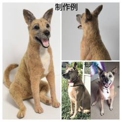 羊毛フェルト オーダーメイド  受注生産 犬 猫 ペットロス  ペット オーダー 5枚目の画像