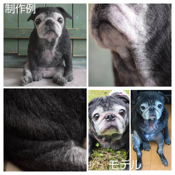 羊毛フェルト オーダーメイド  受注生産 犬 猫 ペットロス  ペット オーダー 2枚目の画像