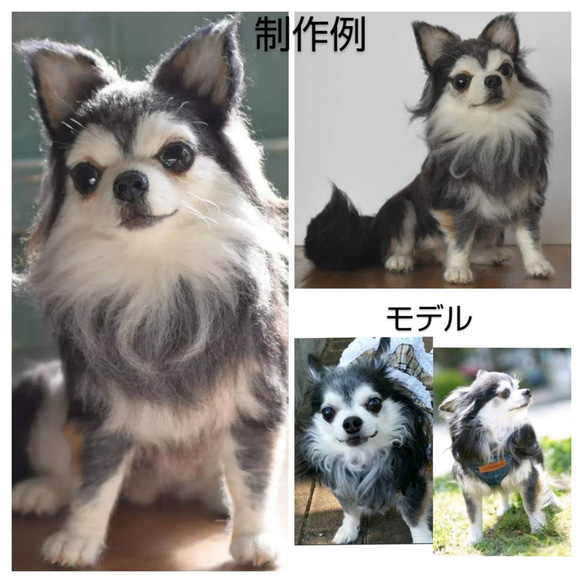 羊毛フェルト オーダーメイド  受注生産 犬 猫 ペットロス  ペット オーダー 4枚目の画像