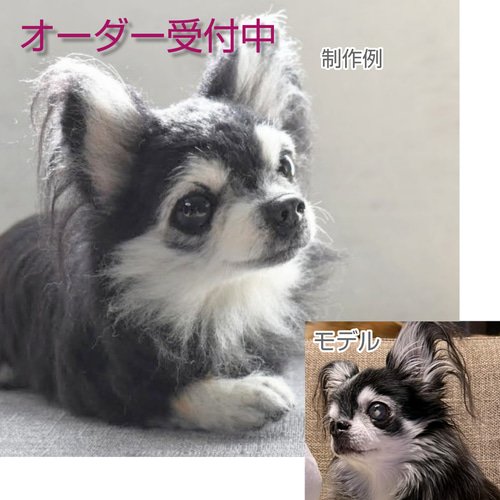 オーダーメイド専門 羊毛フェルト 受注生産 犬 猫 ペットロス ペット