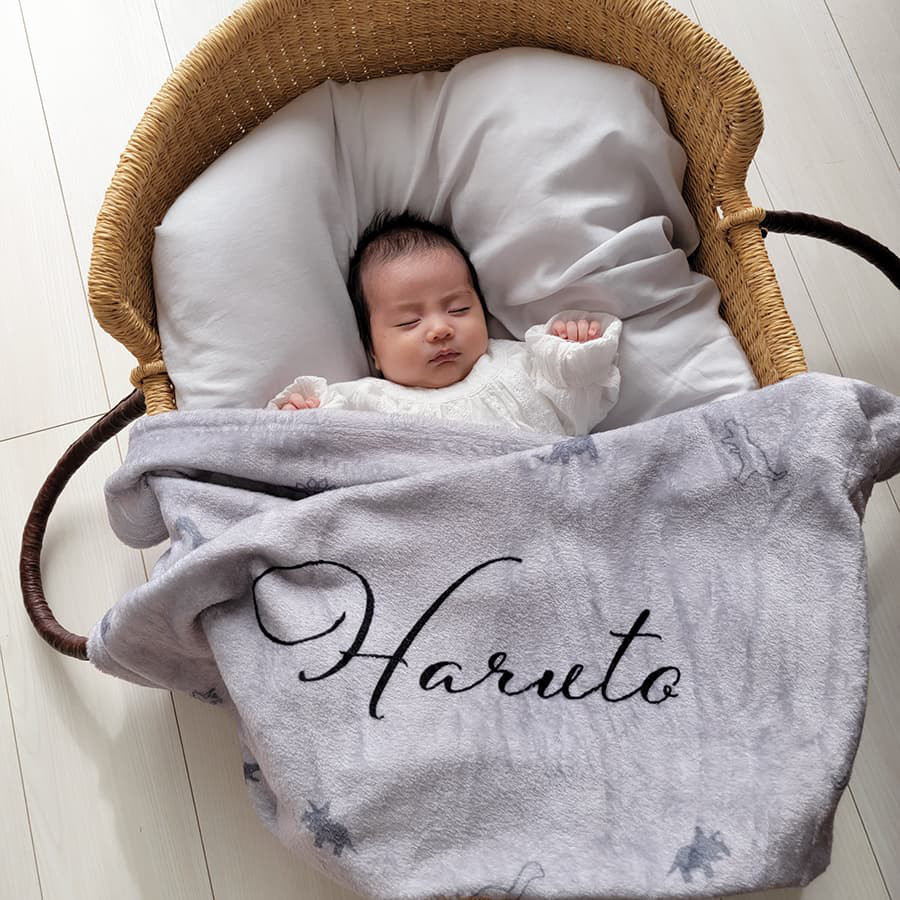 お急ぎ発送OK オールシーズン快適な通年生地 出産祝い 男の子 名前入りブランケット ダイナソー・ニュアンス