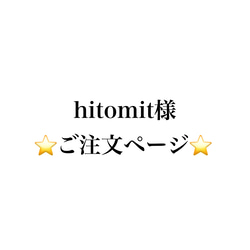 hitomit様 ⭐️ご注文ページ⭐️ 1枚目の画像