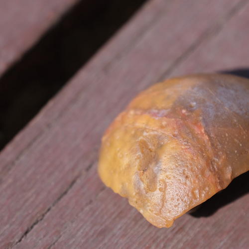 ゴビ石−1047 ゴビ瑪瑙 原石『鶏油黄』 その他置物 KIKI 通販 15443231