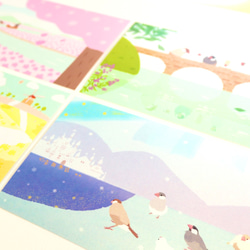 文鳥さんと景色のポストカード 6枚目の画像