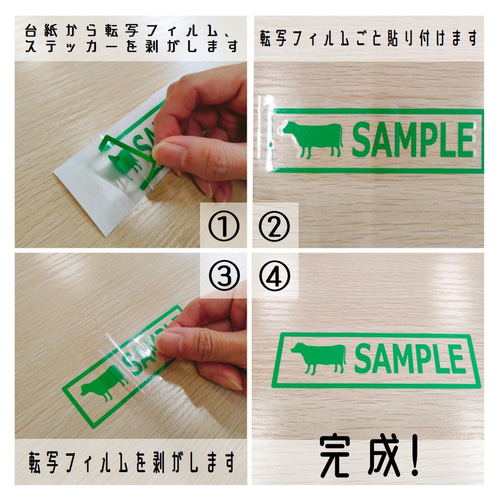 多肉植物カッティングステッカーシリーズ アガベ チタノタ ver. シール