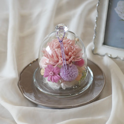 心に寄り添う 寄せ植え 存在感たっぷり 希少なシクラメンジックス