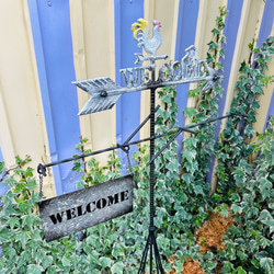 1c52a13aae0d9d22301e16f1d9ccfe