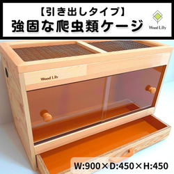 爬虫類「規格サイズケージ」60×30×H30◇送料無料◇床板色選べる