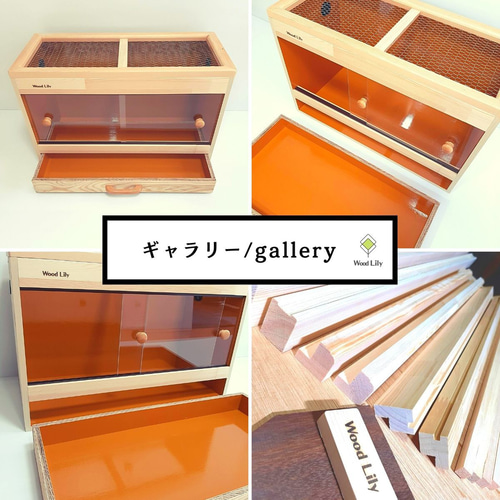 強固な爬虫類「引き出しケージ」120×60×60cm◇送料無料 #爬虫類 強固な爬虫類「引き出しケージ」120×60×60cm◇送料無料 #爬虫類