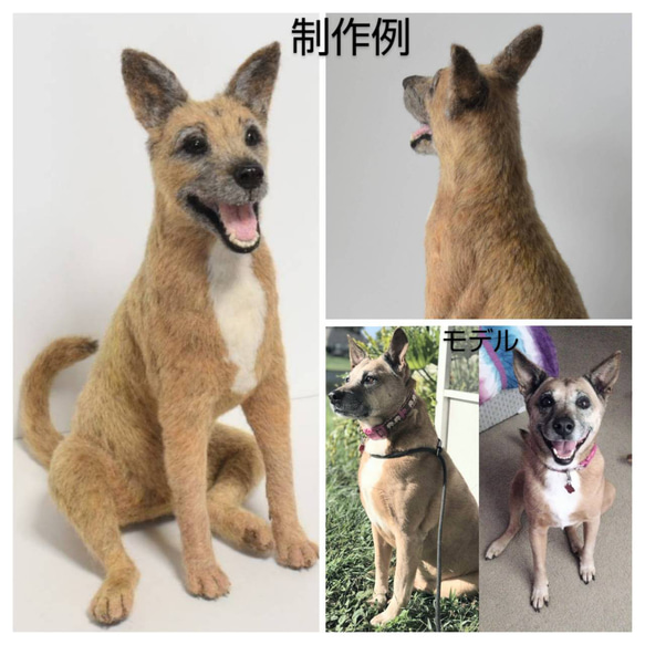 羊毛フェルト オーダーメイド  受注生産  犬 猫 ペットロス  ペット オーダー 7枚目の画像