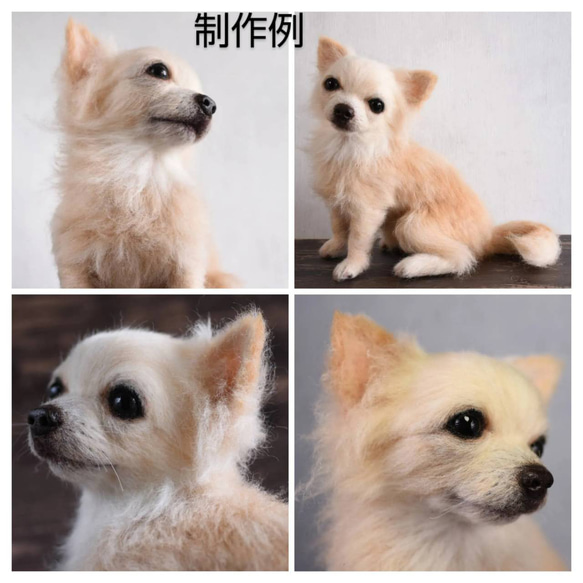 羊毛フェルト オーダーメイド  受注生産 犬 猫 ペットロス  ペット オーダー 7枚目の画像