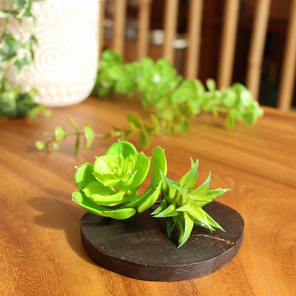 柘植材　琵琶　撥　自然木の置き台 柘植材 琵琶 撥 自然木の置き台