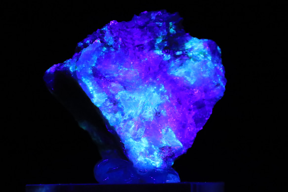 52g 『UVライトで蛍光』プリズマティンとフロゴパイト（金雲母）の共生