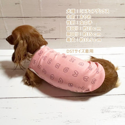 【NEW】コールスエード タンクトップ  アルファベット 【ピーチピンク】 Dog 犬服 ドッグウェア 秋冬 暖か 英字 9枚目の画像