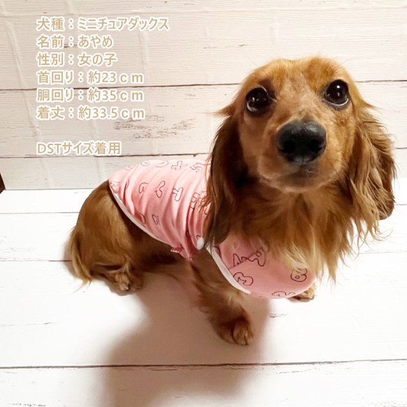 【NEW】コールスエード タンクトップ  アルファベット 【ピーチピンク】 Dog 犬服 ドッグウェア 秋冬 暖か 英字 8枚目の画像