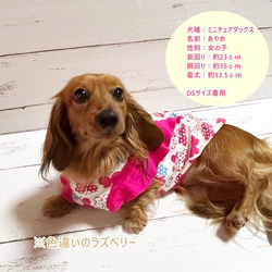 【NEW】 ラッフルスリーブトップス  蝶々柄 【スカーレット】 Dog 犬服 ドッグウェア 春夏  ちょうちょう 8枚目の画像