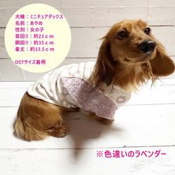 【NEW】 ラッフルスリーブトップス クッカ柄 【ペールピンク】 Dog 犬服 ドッグウェア 春夏  花 8枚目の画像