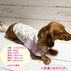 【NEW】 ラッフルスリーブトップス クッカ柄 【ペールピンク】 Dog 犬服 ドッグウェア 春夏  花 9枚目の画像