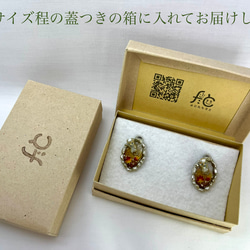 【春と柴犬のヘアゴム】タビシバ 秘湯めぐり〜夜桜の湯〜 6枚目の画像