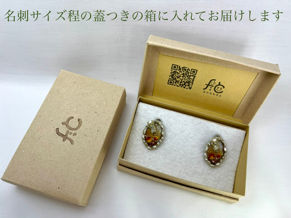 【春と柴犬のヘアゴム】タビシバ 秘湯めぐり〜夜桜の湯〜 6枚目の画像