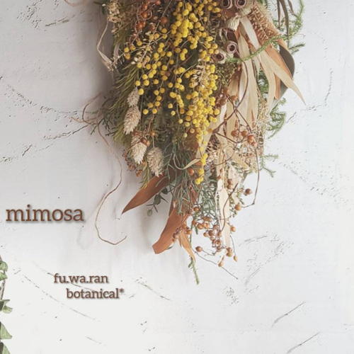 ミモザ&サルフレア ドライフラワースワッグ スワッグ fu.wa.ran  