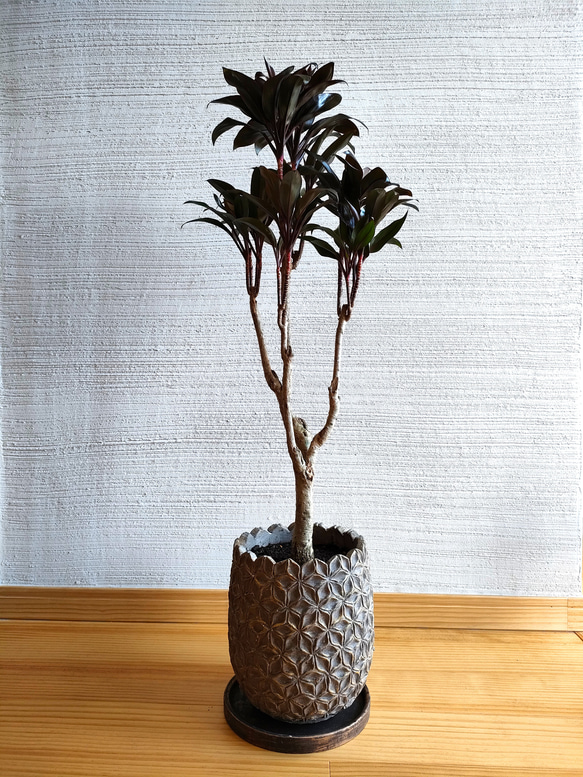 植木鉢 陶器 高級受皿付 ピンクゴールド 内径22 高さ25 観葉植物