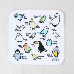 ミニタオル（とりずかん） ハンカチ・手ぬぐい BIRDSTORY 通販