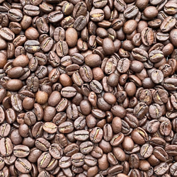 送料無料で届く新鮮な自家焙煎コーヒー豆｜グアテマラ サンファン農園 テキシク｜300g｜中深煎り 3枚目の画像