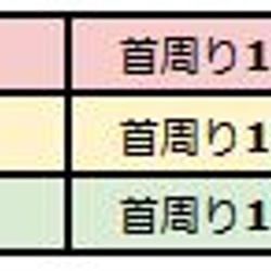 1 個伊麗莎白小鳥項圈 虎皮鸚鵡和 Mameluriha 術後護理產品 第4張的照片