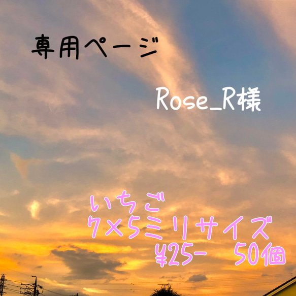 専用ページ Rose_R様 いちご 7×5 50個 1枚目の画像