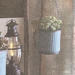 《可愛い壁掛けハンギングブリキ鉢》エタンハング 観葉植物 多肉植物 お花の寄せ植え ガーデニング 小物入れに 178 2枚目の画像
