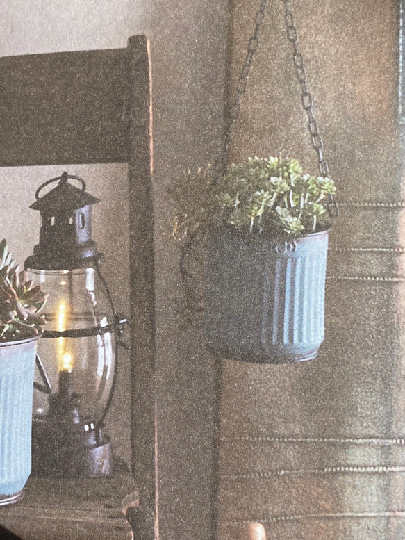 《可愛い壁掛けハンギングブリキ鉢》エタンハング 観葉植物 多肉植物 お花の寄せ植え ガーデニング 小物入れに 178 2枚目の画像