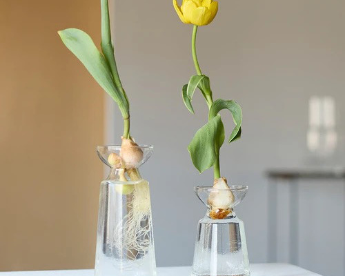 e9a7de69d32ce70a16ef452ccad0eb