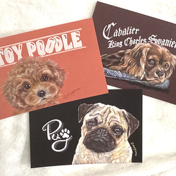 CUTE DOGS ポストカード《３枚セット》オイルパステル画 トイプードル・キャバリア・パグ 1枚目の画像