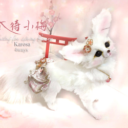 海外作家 ぬいぐるみ フェネック アートドール リアル 羊毛フェルト ブライス 海外作家 ぬいぐるみ フェネック アートドール リアル 羊毛