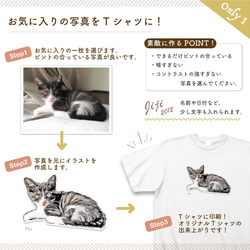 原田オーダー猫ちゃん 太田光代 on X: 