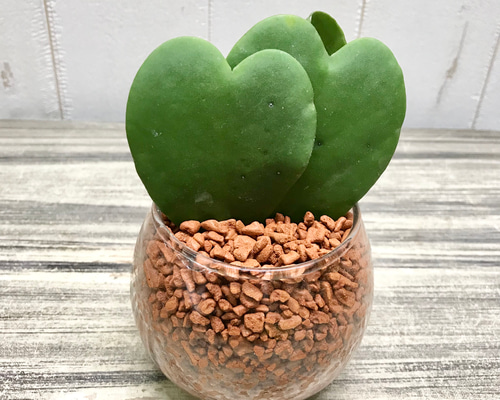 48a291193de3dee2ca00662d7df4c5