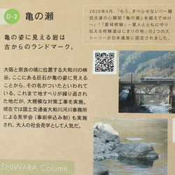 Turtleピンズ　【日本遺産推奨商品 「もう、すべらせない！！」ブランド認定商品】 10枚目の画像