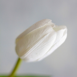 【パステルチューリップ3輪造花】｜アーティフィシャルフラワー 花瓶アレンジ| 春｜ギフト・インテリア雑貨 7枚目の画像