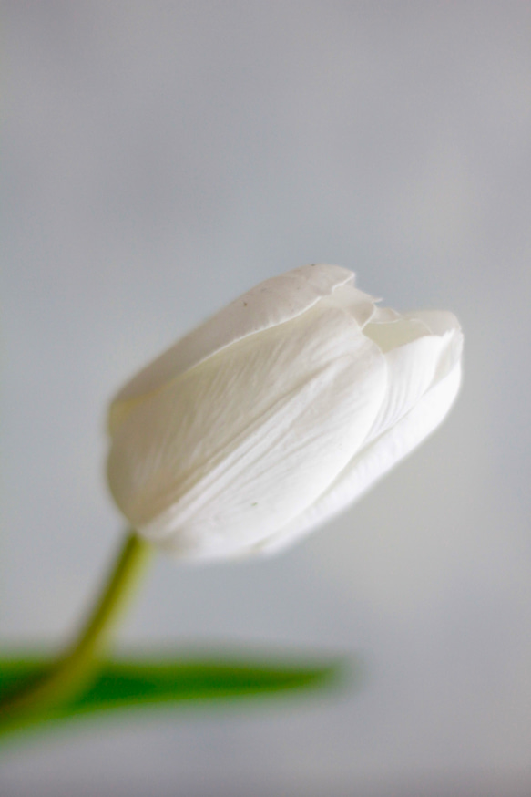 【パステルチューリップ3輪造花】｜アーティフィシャルフラワー 花瓶アレンジ| 春｜ギフト・インテリア雑貨 7枚目の画像