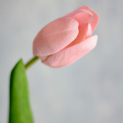 【パステルチューリップ3輪造花】｜アーティフィシャルフラワー 花瓶アレンジ| 春｜ギフト・インテリア雑貨 4枚目の画像